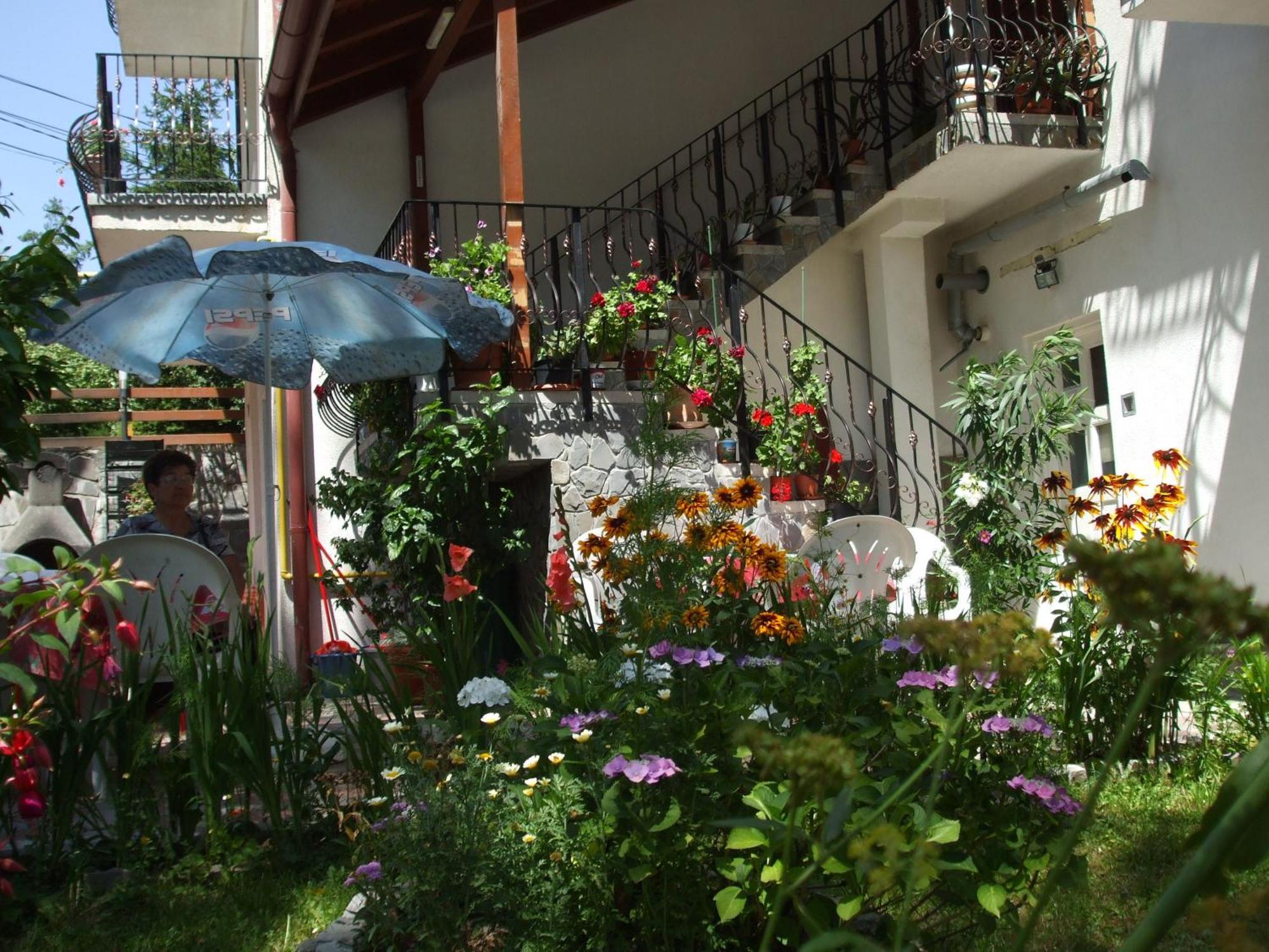 Vila Ana-Maria Sinaia Exterior photo