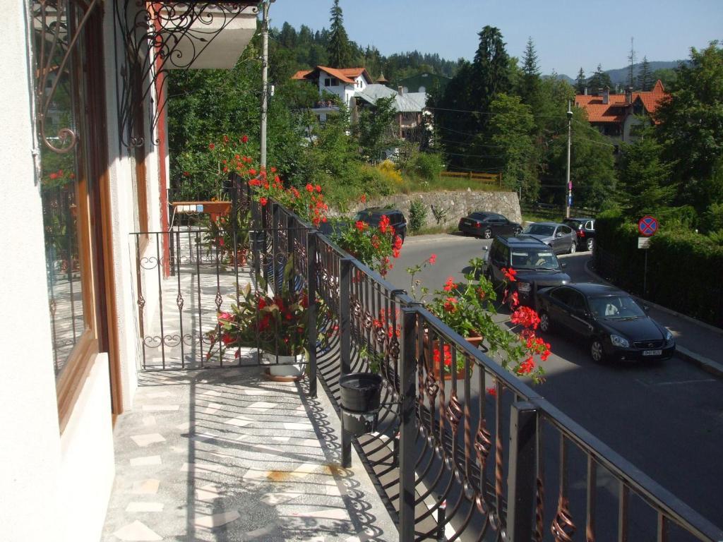 Vila Ana-Maria Sinaia Exterior photo
